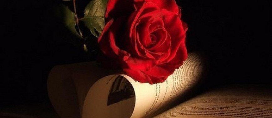 870x380xkasjopeja-flawer-roses-d186d0b2d0b5d182d18b-leonardgregory-rose-flower-book-flowers_large-30mg3rea447ha0zd96251c.jpg.pagespeed.ic.ufZm0aknol